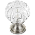 Richelieu 4035 eclectic cabinet knob in clear / brushed nickel