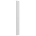 Fabuwood Allure Luxe Frost 3" W X 36" H Wall Filler